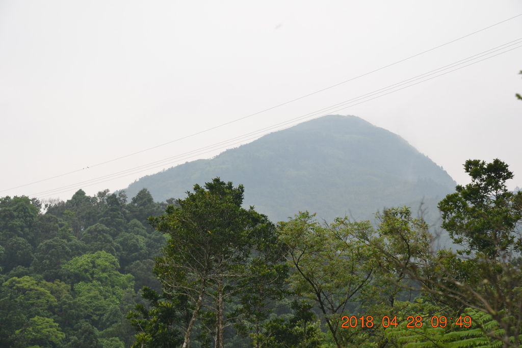 DSC_0040.JPG DSC_0040.JPG