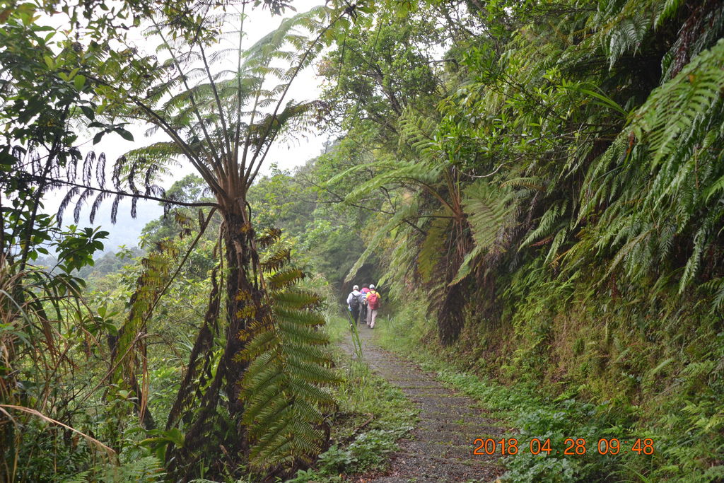 DSC_0039.JPG DSC_0039.JPG