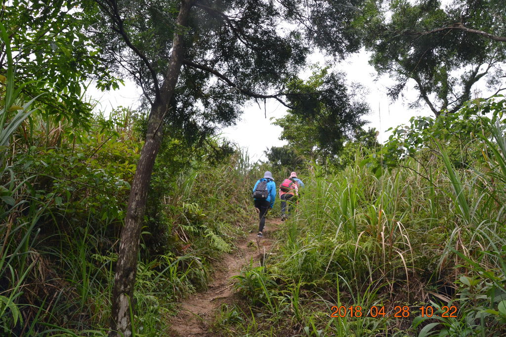 DSC_0063.JPG DSC_0063.JPG