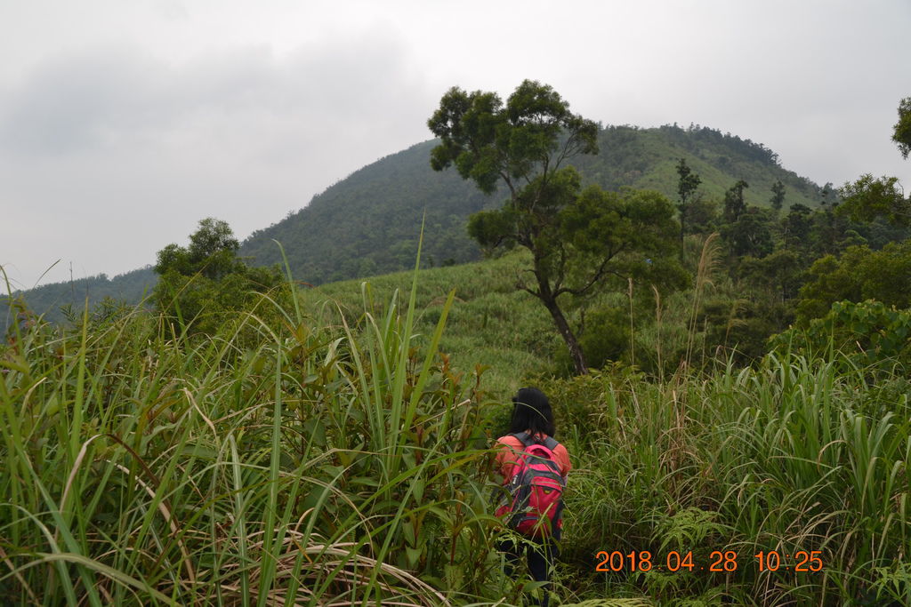 DSC_0068.JPG DSC_0068.JPG