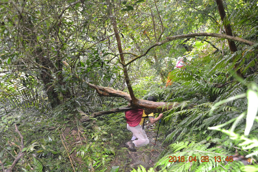DSC_0105.JPG DSC_0105.JPG