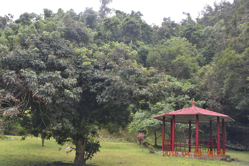 DSC_0120.JPG DSC_0120.JPG
