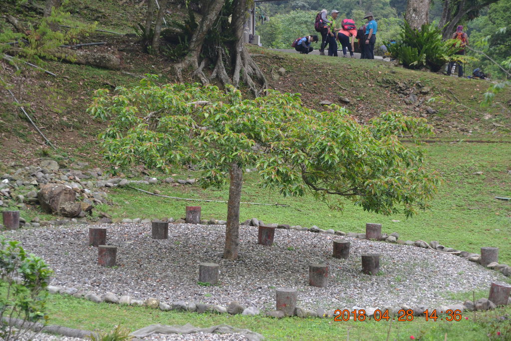 DSC_0124.JPG DSC_0124.JPG