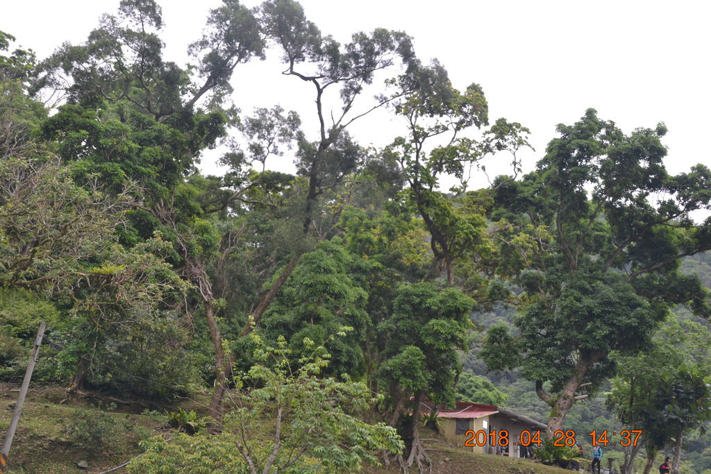 DSC_0128.JPG DSC_0128.JPG