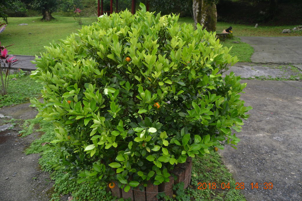 DSC_0134.JPG DSC_0134.JPG