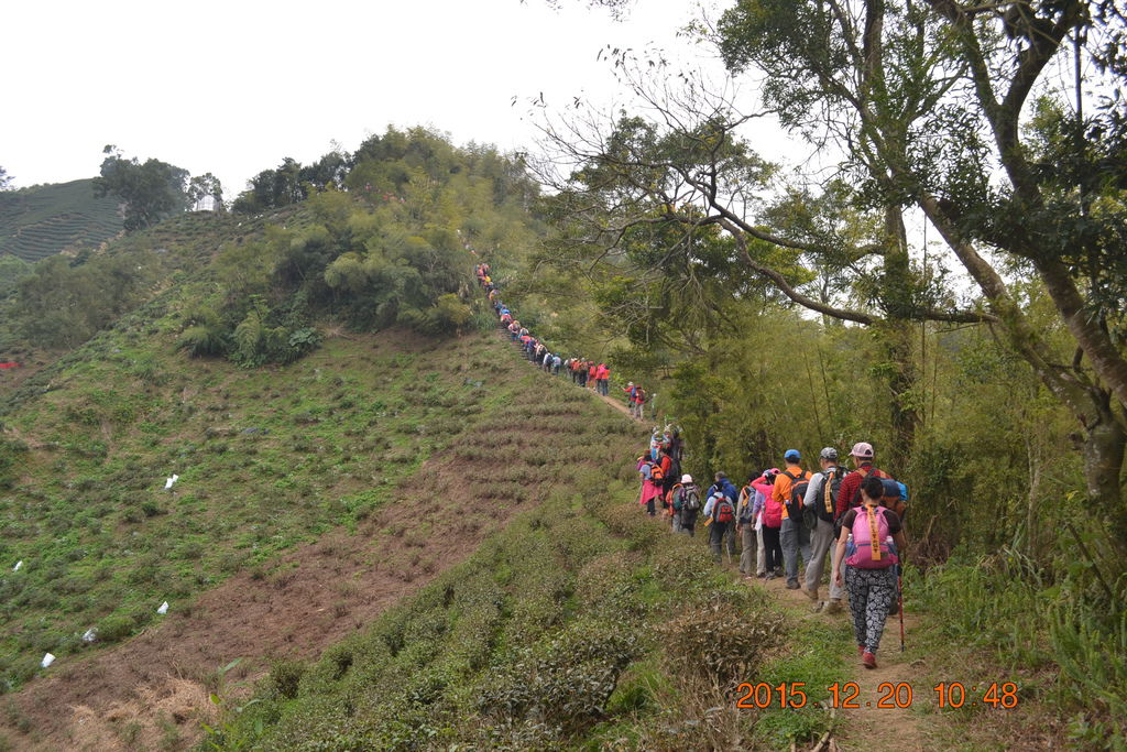 DSC_0075.JPG DSC_0075.JPG
