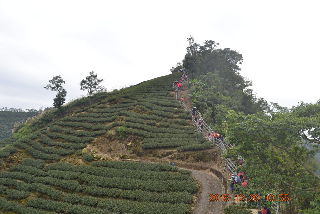 DSC_0085.JPG DSC_0085.JPG