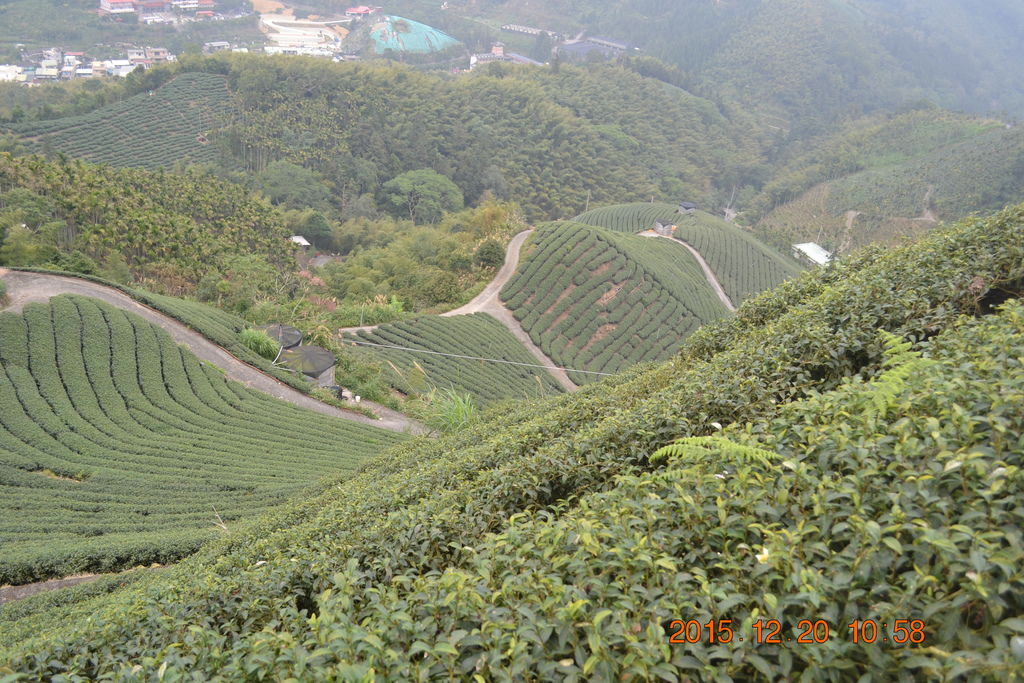 DSC_0088.JPG DSC_0088.JPG