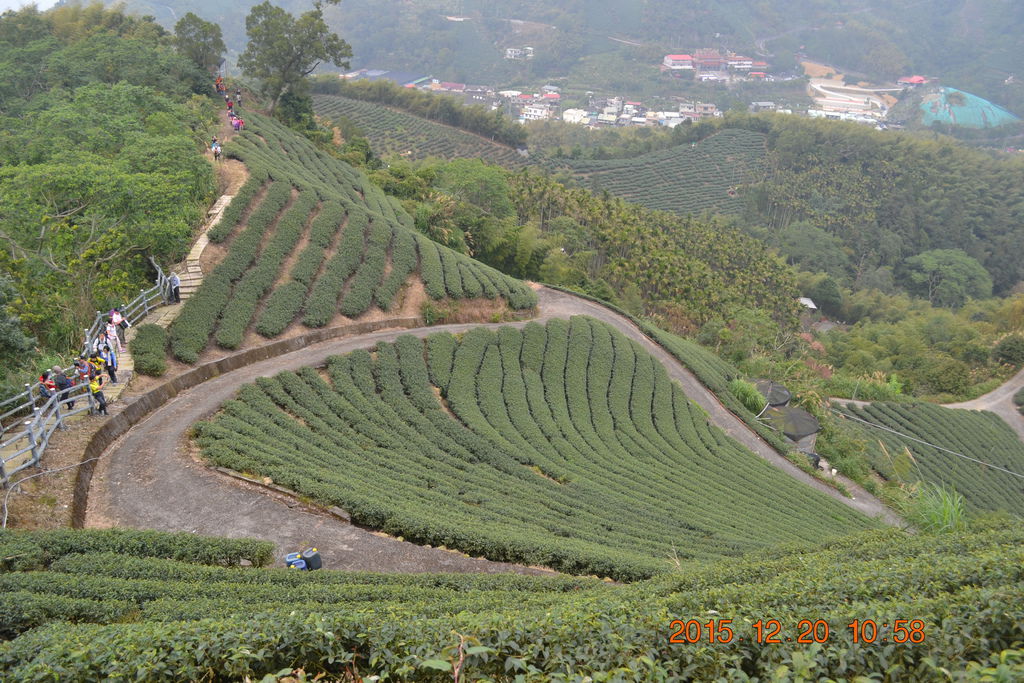 DSC_0089.JPG DSC_0089.JPG