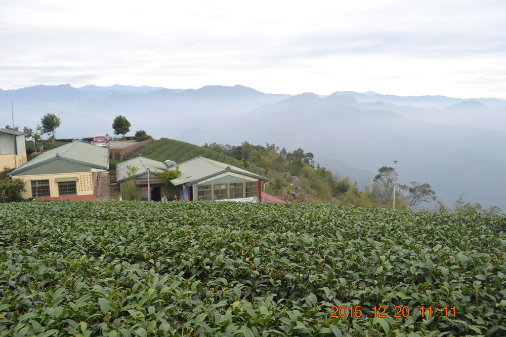 DSC_0096.JPG DSC_0096.JPG