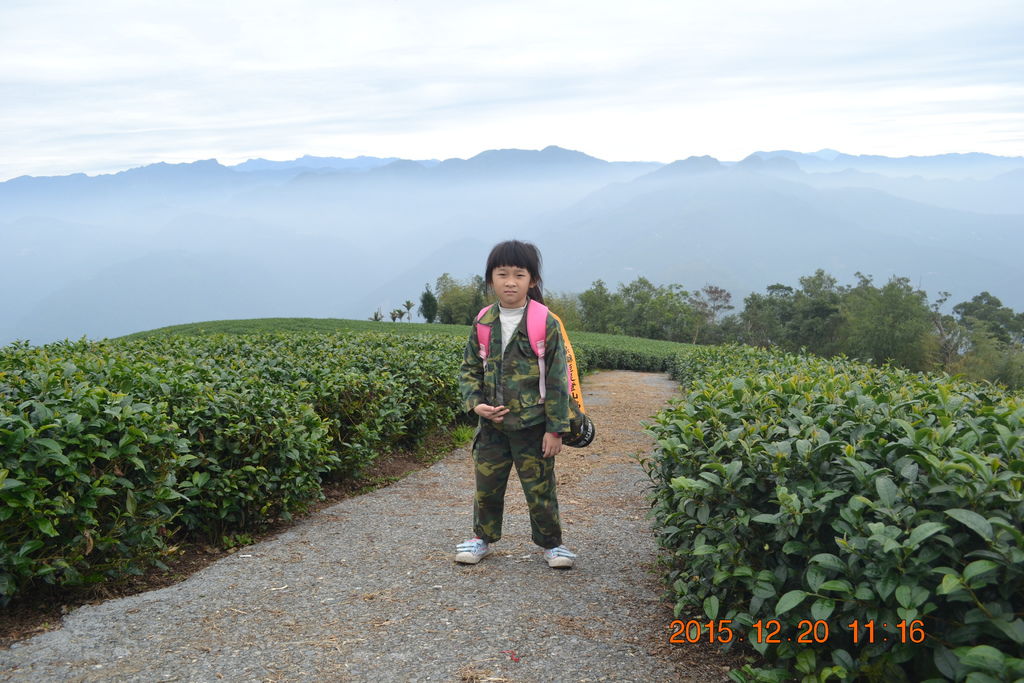 DSC_0112.JPG DSC_0112.JPG
