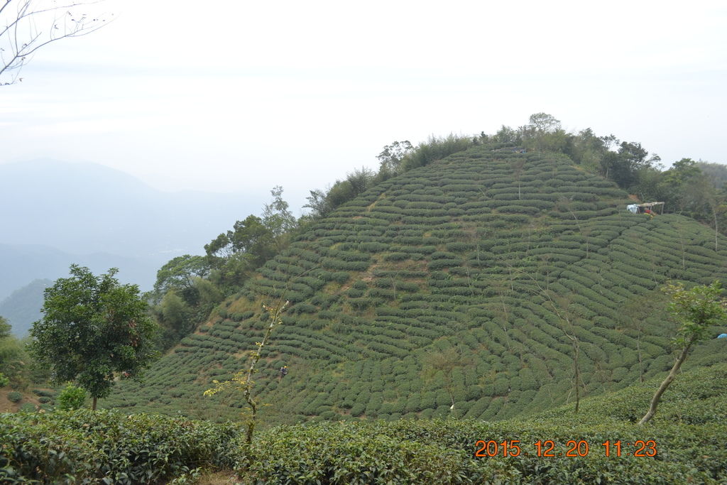 DSC_0124.JPG DSC_0124.JPG