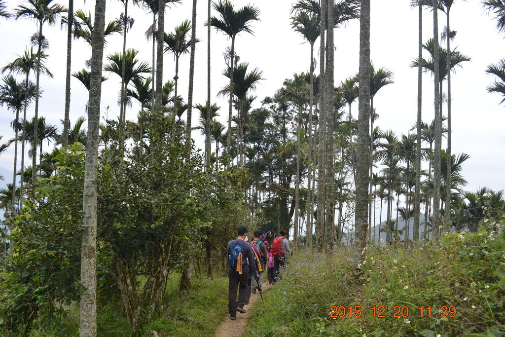DSC_0129.JPG DSC_0129.JPG