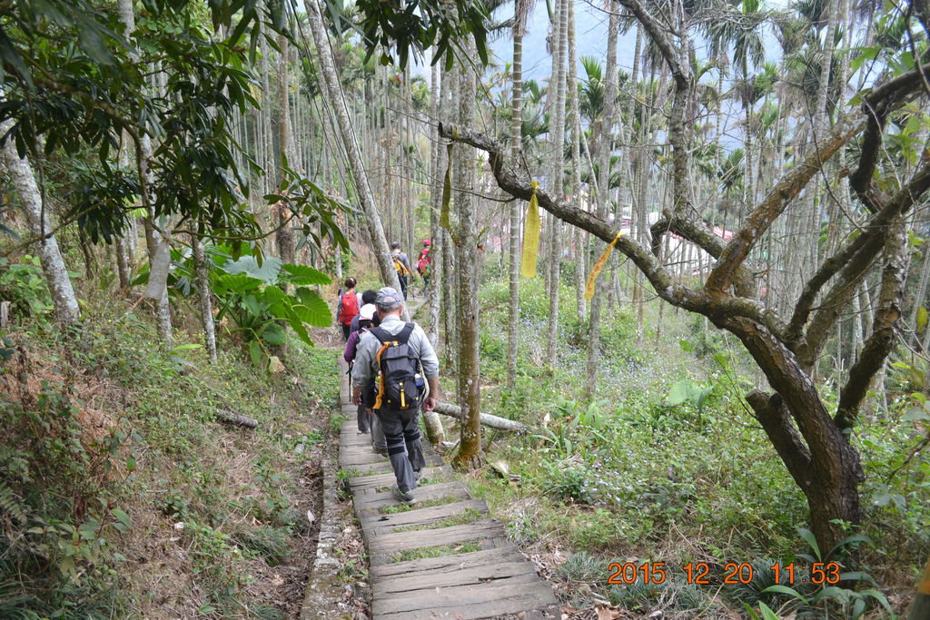 DSC_0134.JPG DSC_0134.JPG