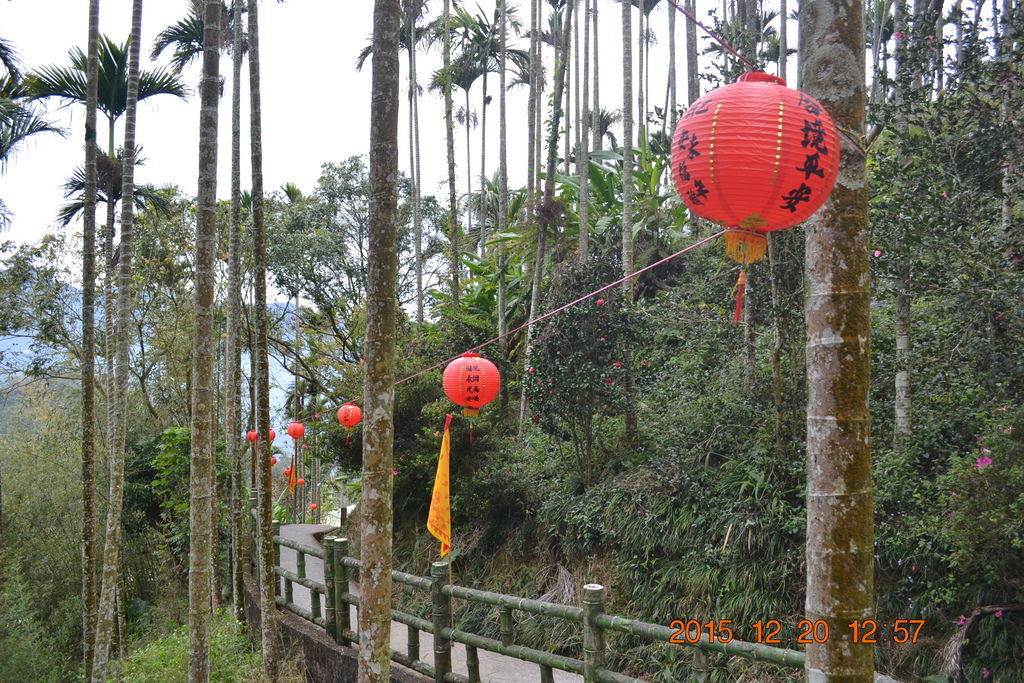DSC_0158.JPG DSC_0158.JPG
