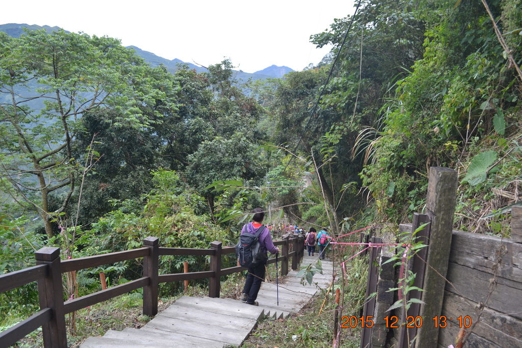 DSC_0172.JPG DSC_0172.JPG