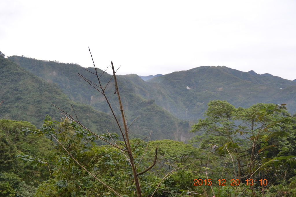 DSC_0171.JPG DSC_0171.JPG