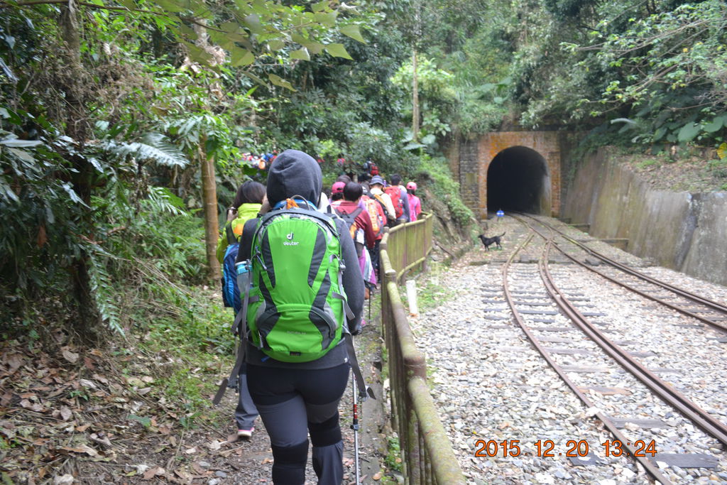 DSC_0197.JPG DSC_0197.JPG