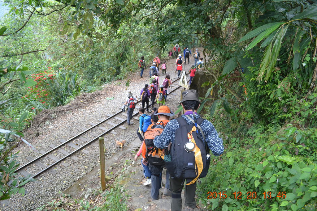 DSC_0202.JPG DSC_0202.JPG