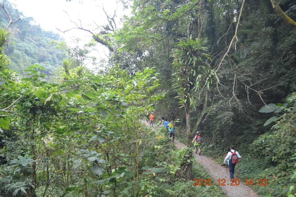 DSC_0222.JPG DSC_0222.JPG