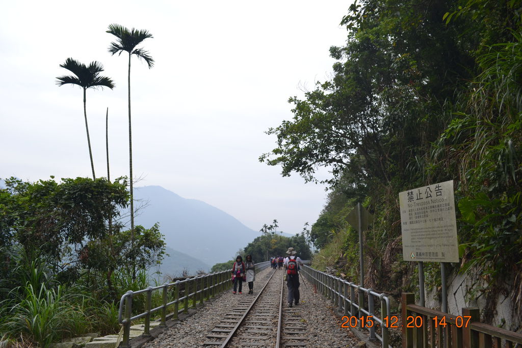 DSC_0228.JPG DSC_0228.JPG