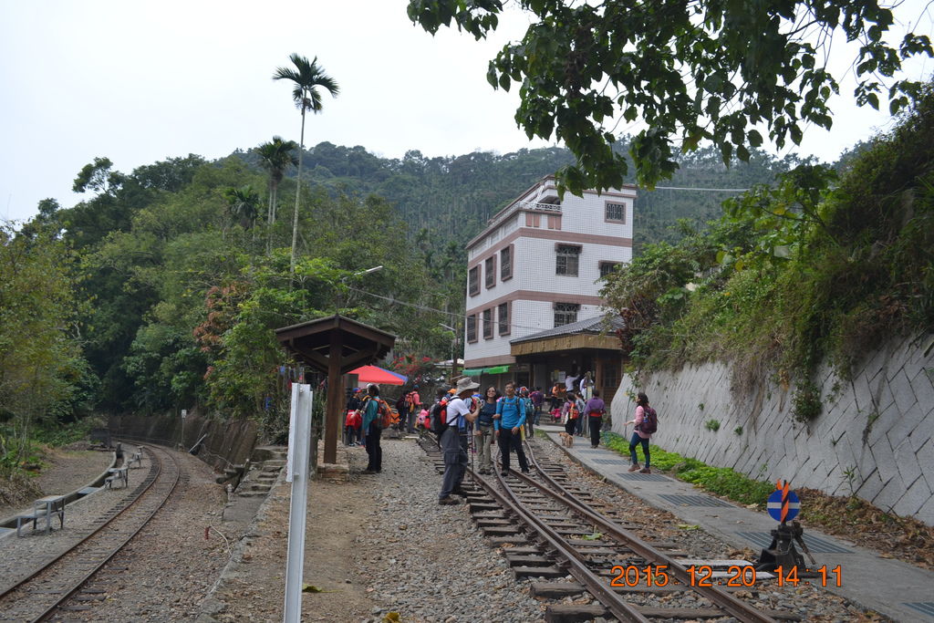 DSC_0232.JPG DSC_0232.JPG