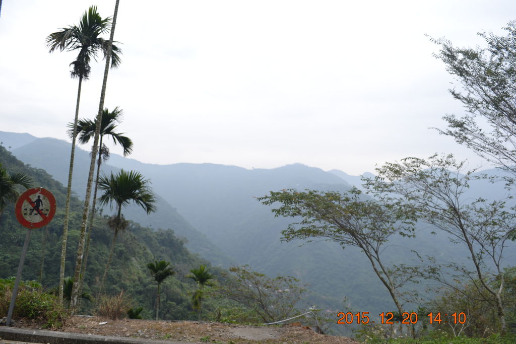 DSC_0230.JPG DSC_0230.JPG