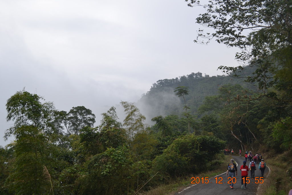 DSC_0251.JPG DSC_0251.JPG