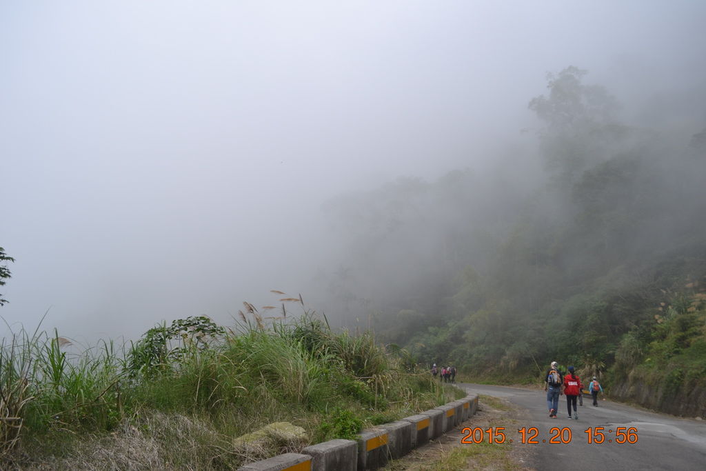 DSC_0252.JPG DSC_0252.JPG