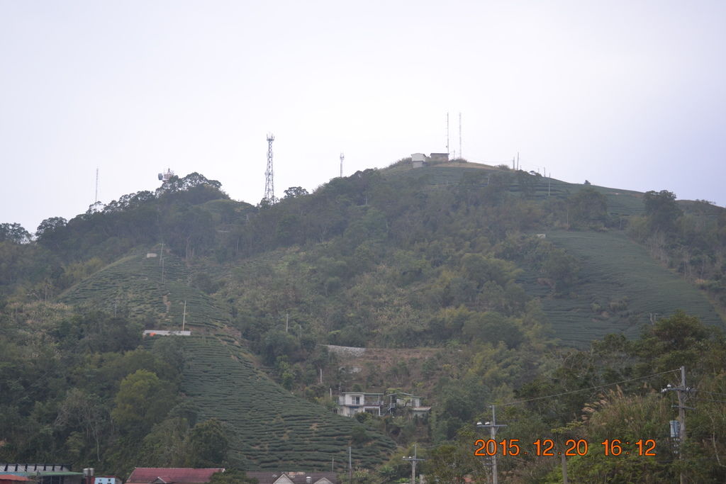 DSC_0256.JPG DSC_0256.JPG