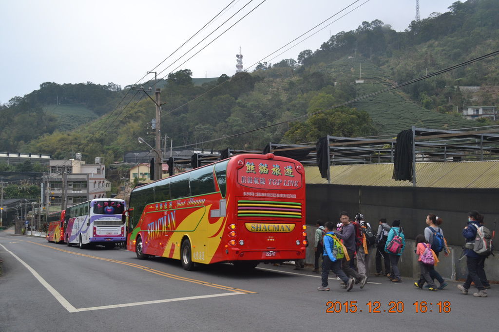 DSC_0257.JPG DSC_0257.JPG