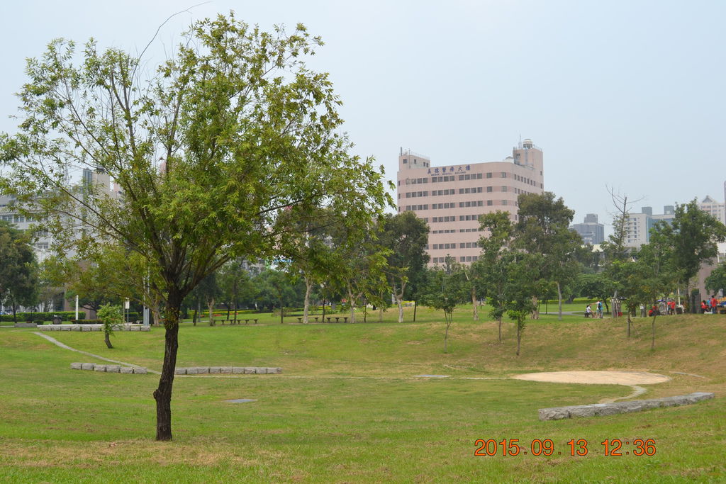 DSC_0011.JPG DSC_0011.JPG
