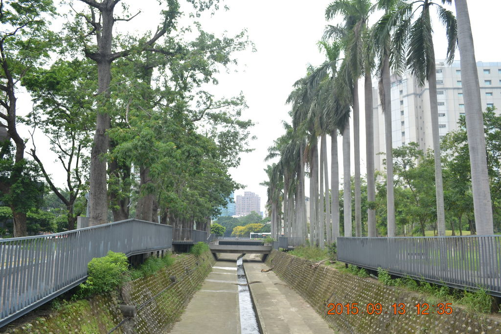 DSC_0008.JPG DSC_0008.JPG