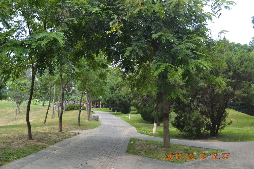 DSC_0013.JPG DSC_0013.JPG