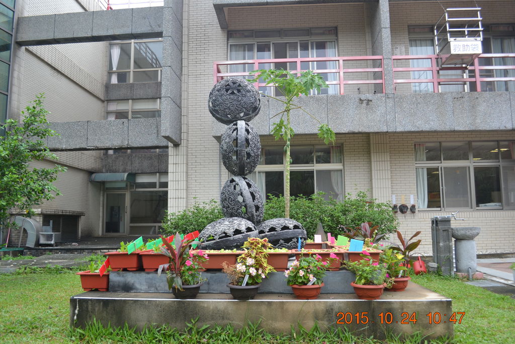 DSC_0118.JPG DSC_0118.JPG