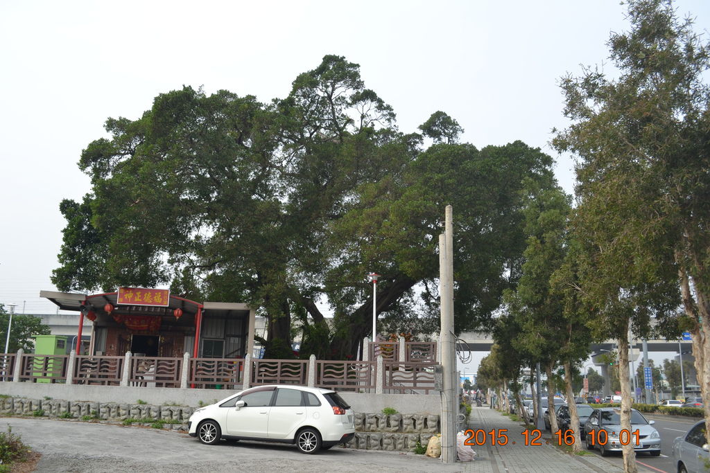 DSC_0033.JPG DSC_0033.JPG