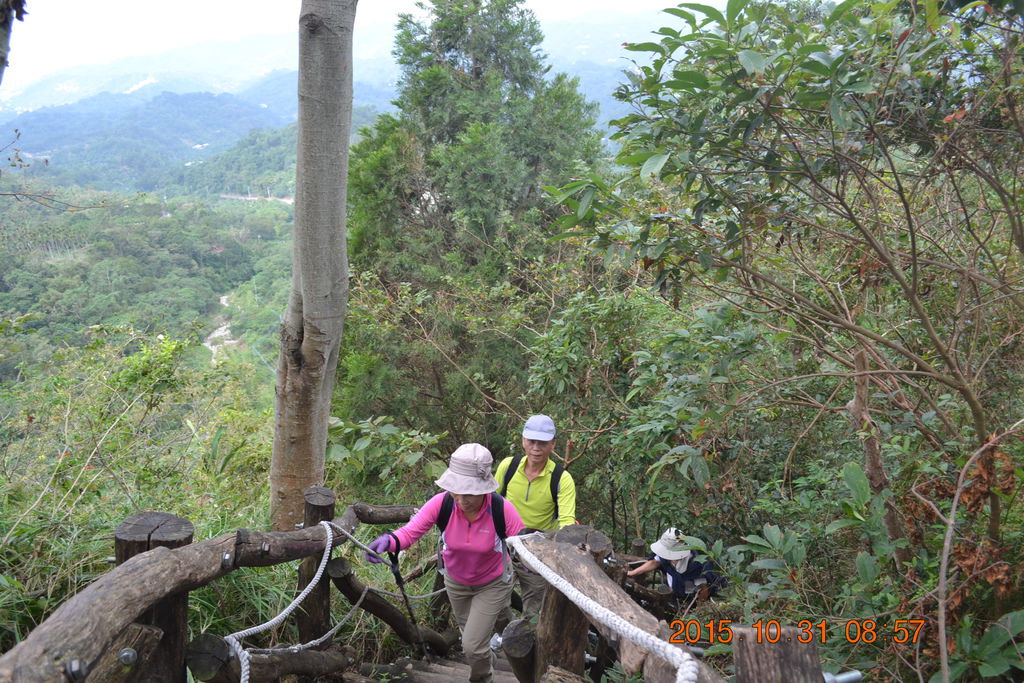 DSC_0016.JPG DSC_0016.JPG