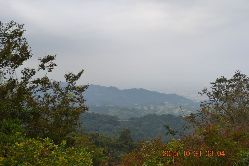 DSC_0021.JPG DSC_0021.JPG