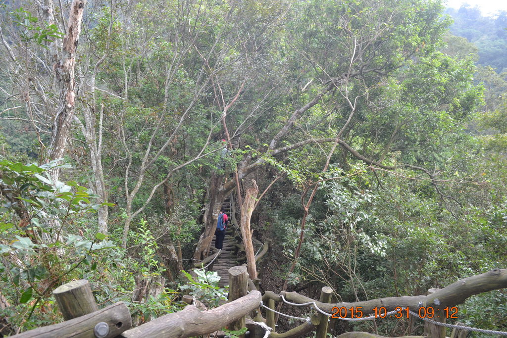 DSC_0024.JPG DSC_0024.JPG