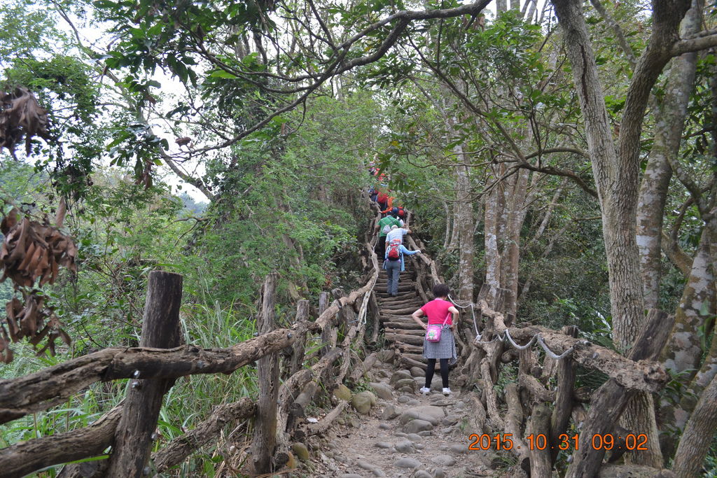 DSC_0020.JPG DSC_0020.JPG