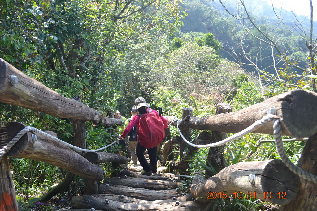 DSC_0037.JPG DSC_0037.JPG