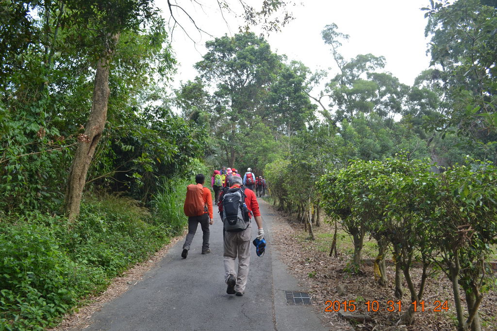 DSC_0049.JPG DSC_0049.JPG