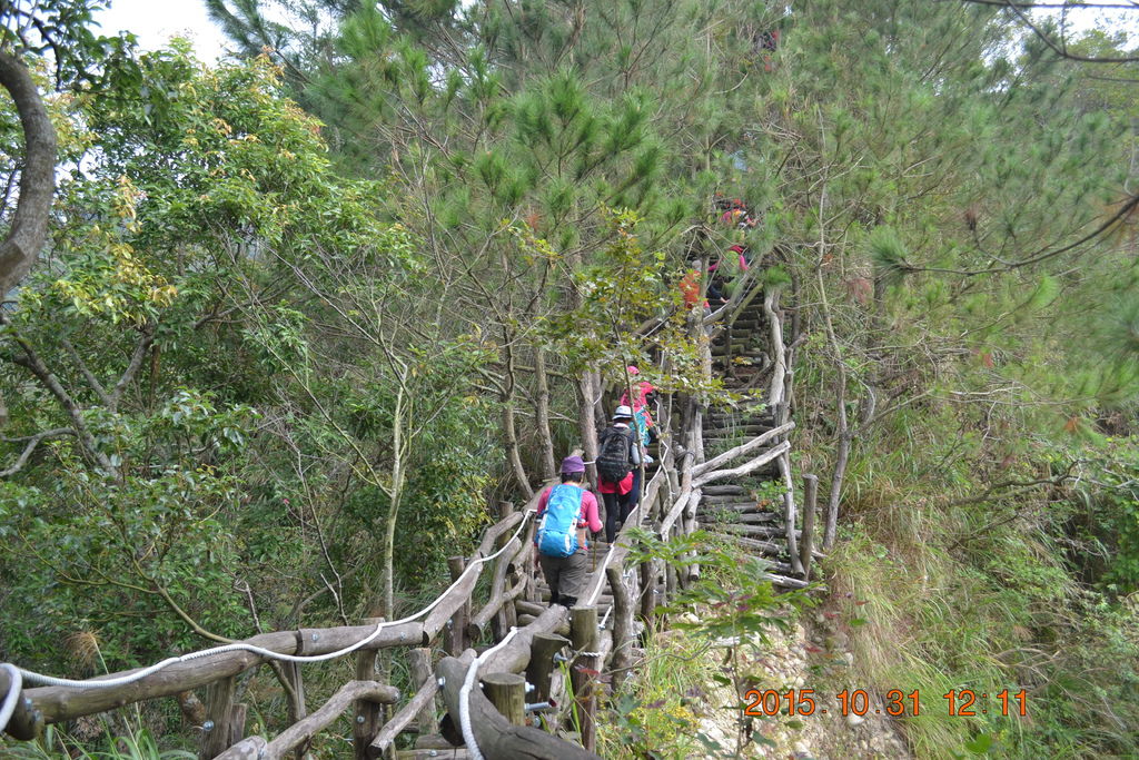 DSC_0060.JPG DSC_0060.JPG