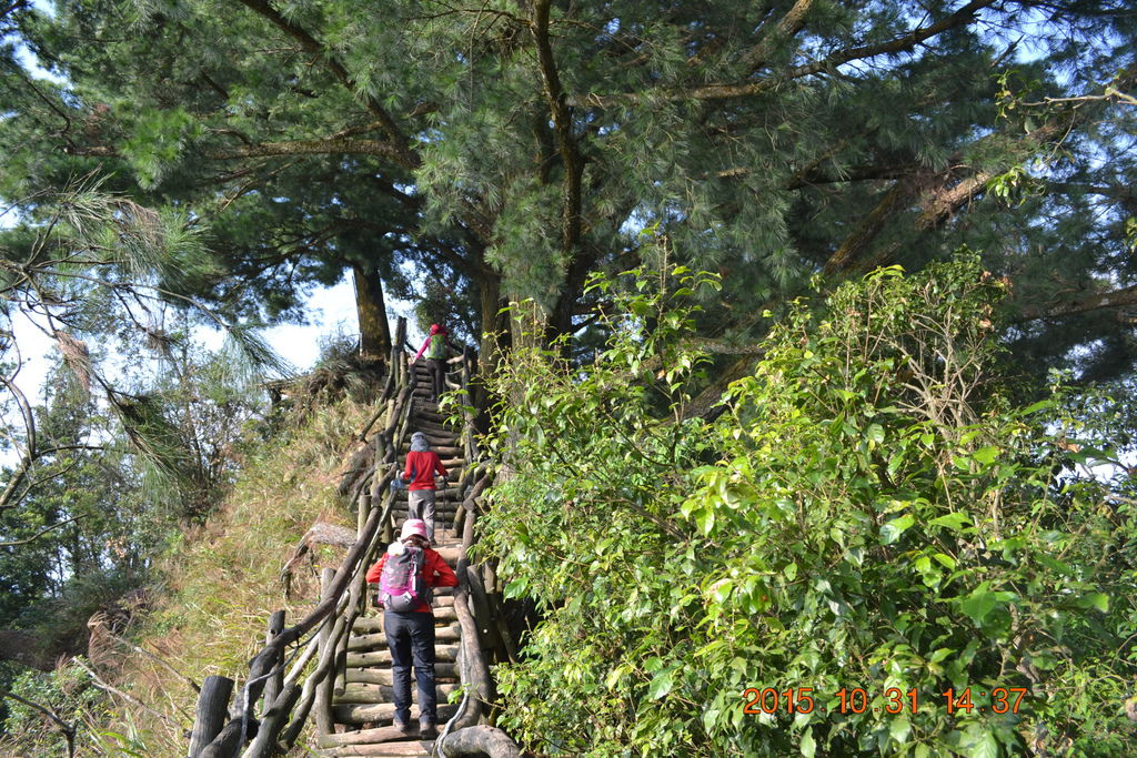DSC_0098.JPG DSC_0098.JPG
