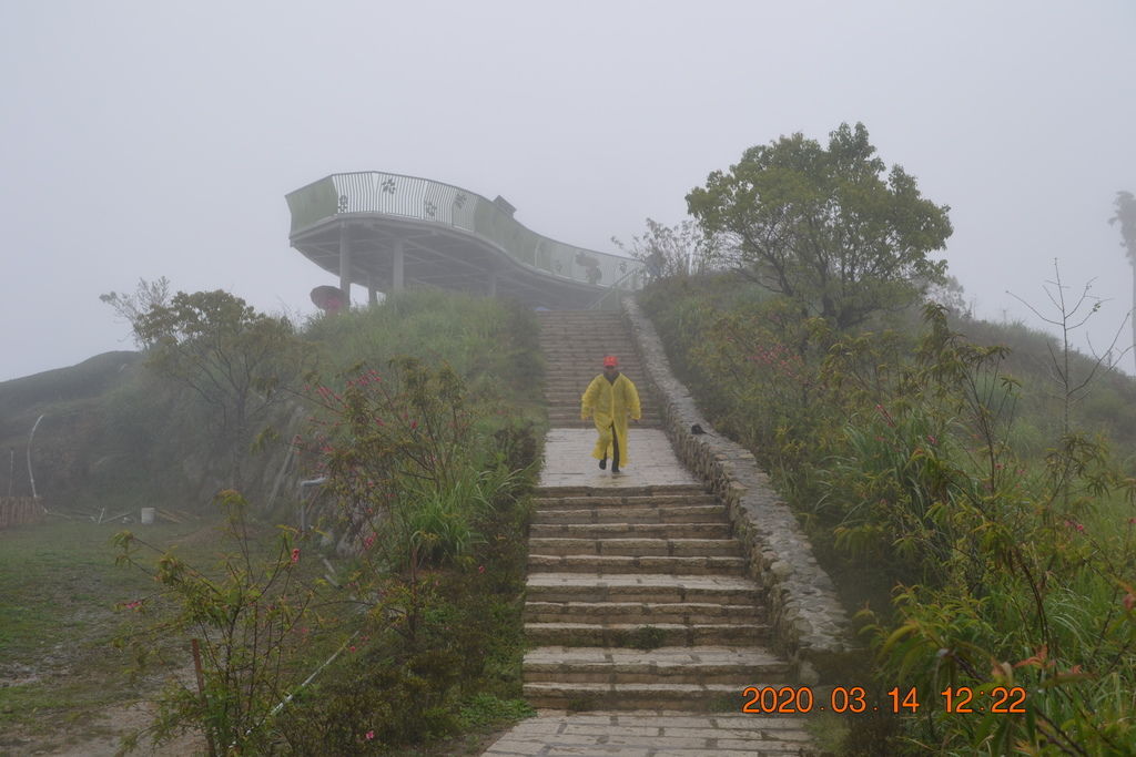 DSC_0141.JPG DSC_0141.JPG