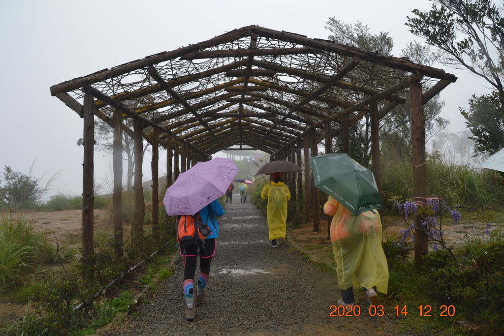 DSC_0135.JPG DSC_0135.JPG