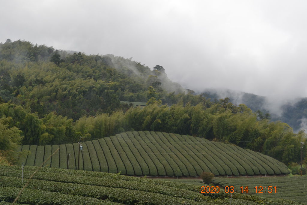 DSC_0157.JPG DSC_0157.JPG