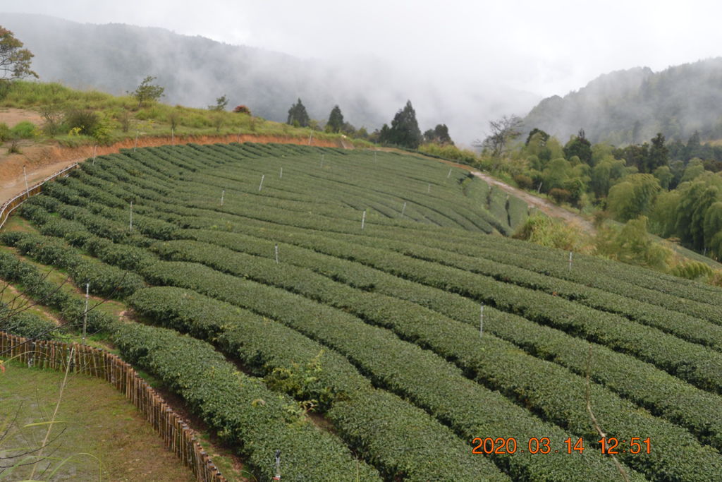 DSC_0158.JPG DSC_0158.JPG