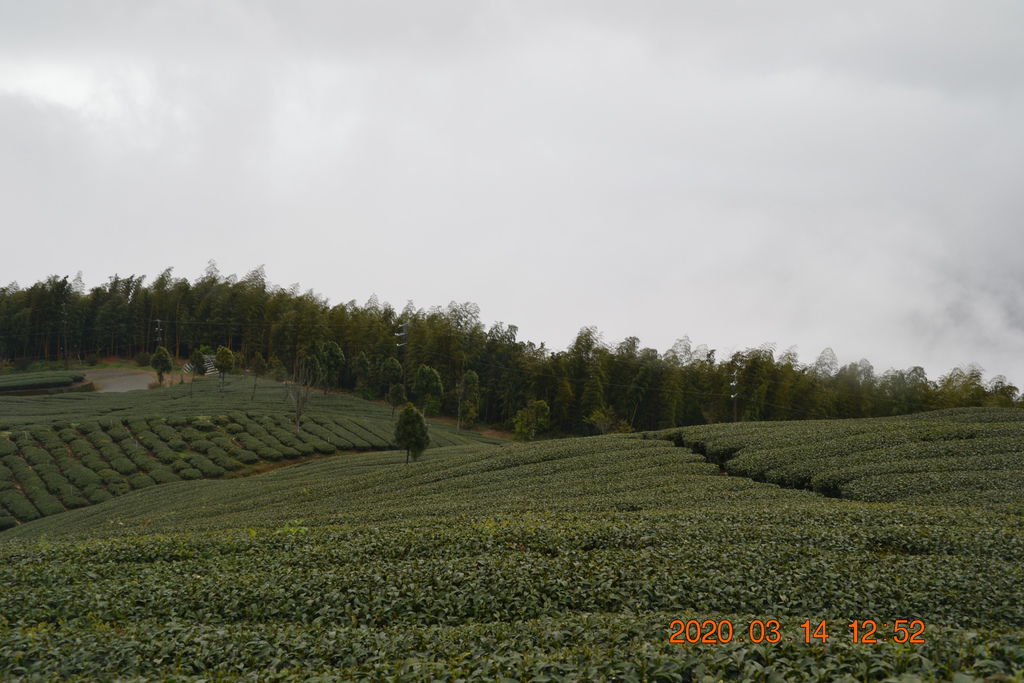DSC_0160.JPG DSC_0160.JPG