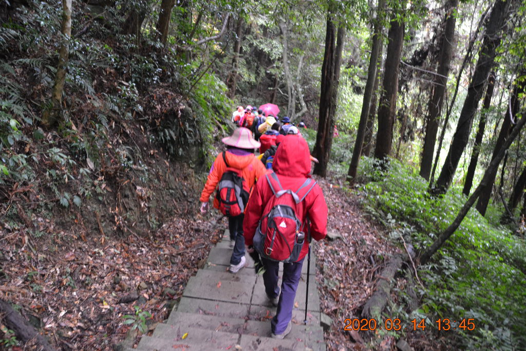 DSC_0195.JPG DSC_0195.JPG